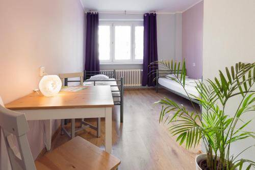 Patio Hostel, Bratislava