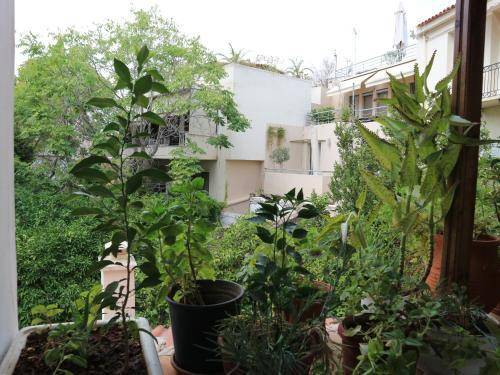 Acropolis House, Athens