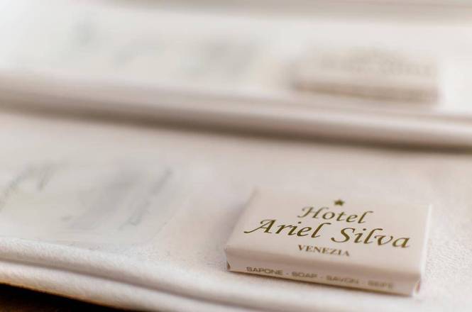 Hotel Ariel Silva, Venice