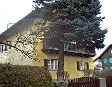 Brigitte Lenglachner, Salzburg