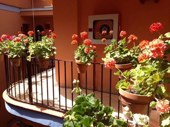 Patio de La Alameda, Seville
