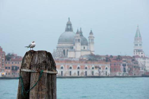 Ca' San Polo, Venice
