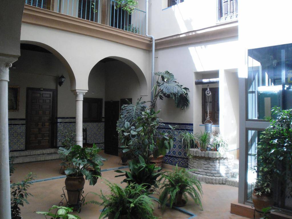 Pension El Patio de las Cruces, Seville Review by EuroCheapo