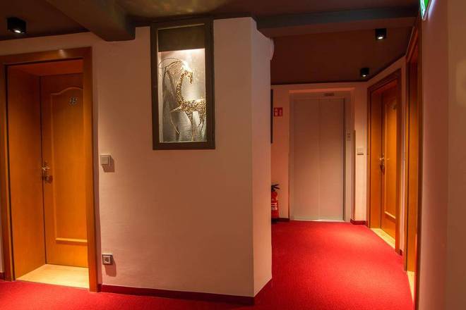 Cityhotel Trumer Stube, Salzburg