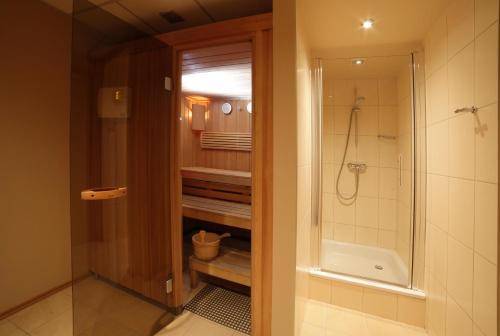 Hotel Pod Wawelem, Krakow