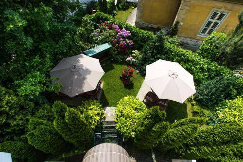 Antares, Bratislava