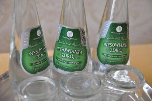 Hotel Pollera, Krakow