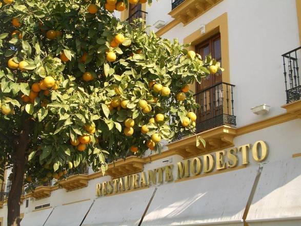 Hotel Doña Manuela, Seville