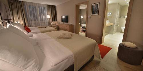 Apollo Hotel Bratislava, Bratislava